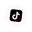 TikTok Ads
